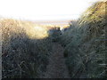 Dunes footpath to the beach and the sea at Mablethorpe in LN12 1LR