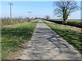 Hedge enclosed Pick Hill Lane between Ivy House and Pick Hill Farm in South Cockerington