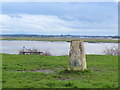 Trig Pillar at Naze Point (5463) in PR4 1UN