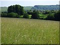 Grassland, Ramsbury in SN8 2PT