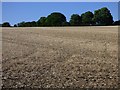 Farmland, Linkenholt in SP11 0EE