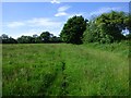 Grassland, Hampstead Marshall in RG20 0JH