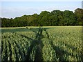 Farmland, East Woodhay in RG20 9XT