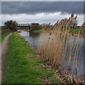Bridge 21, Lancaster Canal in PR4 0RE