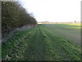 Field edge footpath heading towards Fotherby in Fotherby