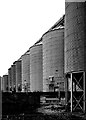 Rainham : silos, Tilda Rice processing plant in RM13 9YD