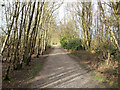 Bridleway, Tilgate Park in RH10 7LT