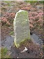 Old Boundary Marker on Louven Howe Side, Sneaton parish in YO22 4QJ