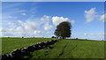 Field boundaries & cloudscape, Middleton Moor near Wirksworth in DE4 4LU
