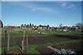 West Bergholt Allotments in CO6 3JZ