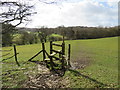 Stile near Knockholt in TN14 7PQ