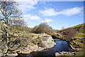 Bollihope Burn passing minor rocks on its north bank in DL13 2SU