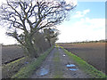 Farm track leading to the fields of Boundary Farm in NR12 0AX