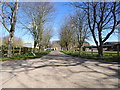 The driveway to Poplar Farm, Hickling in NR12 0AS