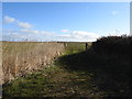 Gated access to the marshes at Horsey in NR29 4EE