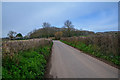 Taunton Deane : Country Lane in TA2 8LA