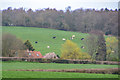 Taunton Deane : Countryside Scenery in TA2 8LB