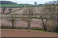 Taunton Deane : Muddy Field in TA2 8LD
