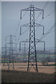 Taunton Deane : Grassy Field & Pylons in TA2 8LD
