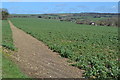 Footpath across field near Beckless Farm in PO7 4TF