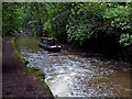 Approaching Tyrley Lock No 4 near Market Drayton in Shropshire in TF9 2AG
