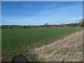 Farmland between Thirn Moor and Manor Farms in Thirn