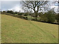 Field footpath approaching a wall stile and gateway in BB8 7LL