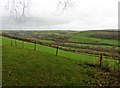 Above the Yeo Valley in EX31 4JG