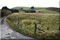 Pasture near Glanbidno Isaf in Llangurig Community