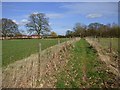 Footpath through pasture, Shalbourne in RG17 0RN