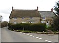 Thatched cottage, Littlewindsor in DT8 3QU