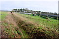 Ditch and Solar Farm in BH23 7JU