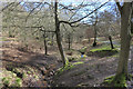 Stream in the Forest in IG10 2SB