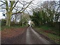 Country lane in GU34 3PZ