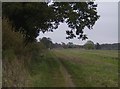 Byway towards Downend in RG20 8TN