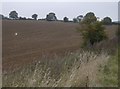 Farmland near Hazelhanger Farm in RG20 8TX