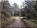 Track at Ashton Hill Plantation in BS41 9DA