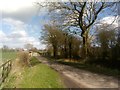 Lane looking north towards Theberton in Theberton