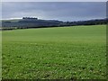 Farmland, Collingbourne Kingston in SN8 3SE
