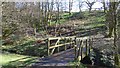 Footbridge on the Semple Trail in PA12 4HH
