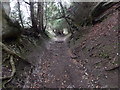 Sunken lane on the North Downs in ME19 5EW