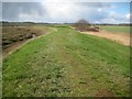Flag Creek: Sea defence embankment (1) in CO7 0SU