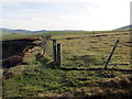 Llwybr Ceffyl Plas Norway / Plas Norway bridleway in LL21 9NN