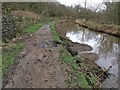 Damage to towpath on Huddersfield Narrow Canal in SK15 3BL