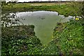 Podmore: Small pond in NR19 2NY