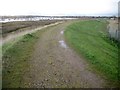 Brightlingsea Creek: Sea defence embankment at Point Clear in CO16 8LL