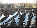 Waterlogged field next to Burtonhole Lane in N12 7BP