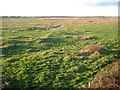 St Osyth: Howlands Marsh SSSI in CO16 8GZ