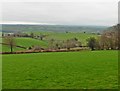 Fields near Overwell in EX36 3NX