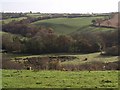 Carey valley below Virginstow in EX21 5DZ